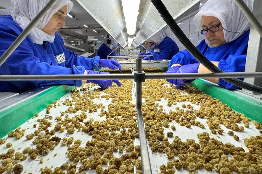 Çin’de organik sektörü 15 milyar dolarlık hacme ulaştı