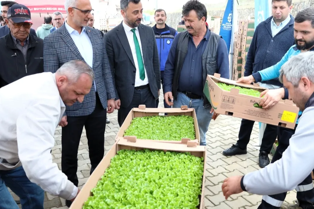 Kocaeli’de Gebzeli çiftçilere 500 bin fide dağıtıldı