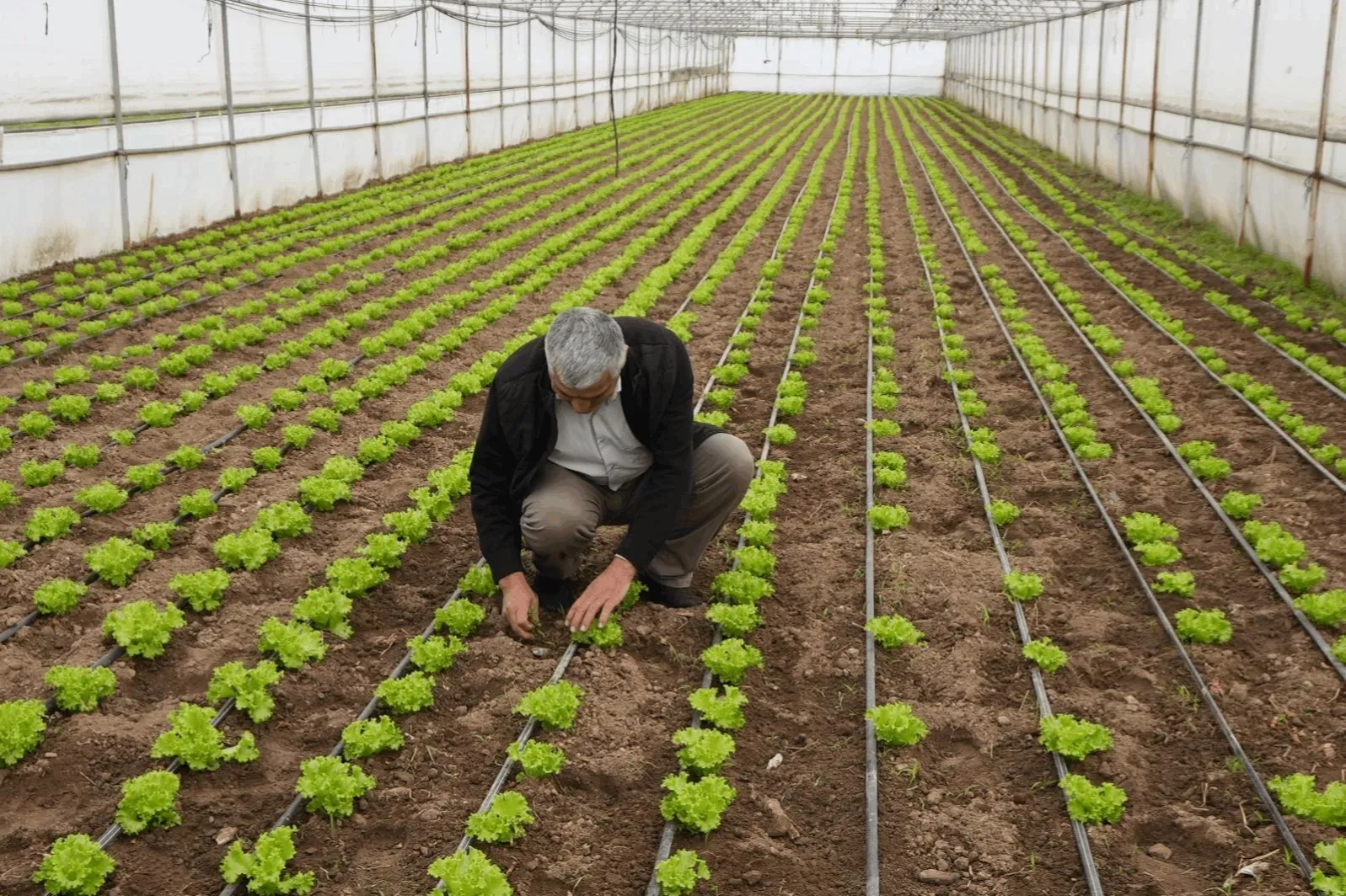 Balıkesir Büyükşehir