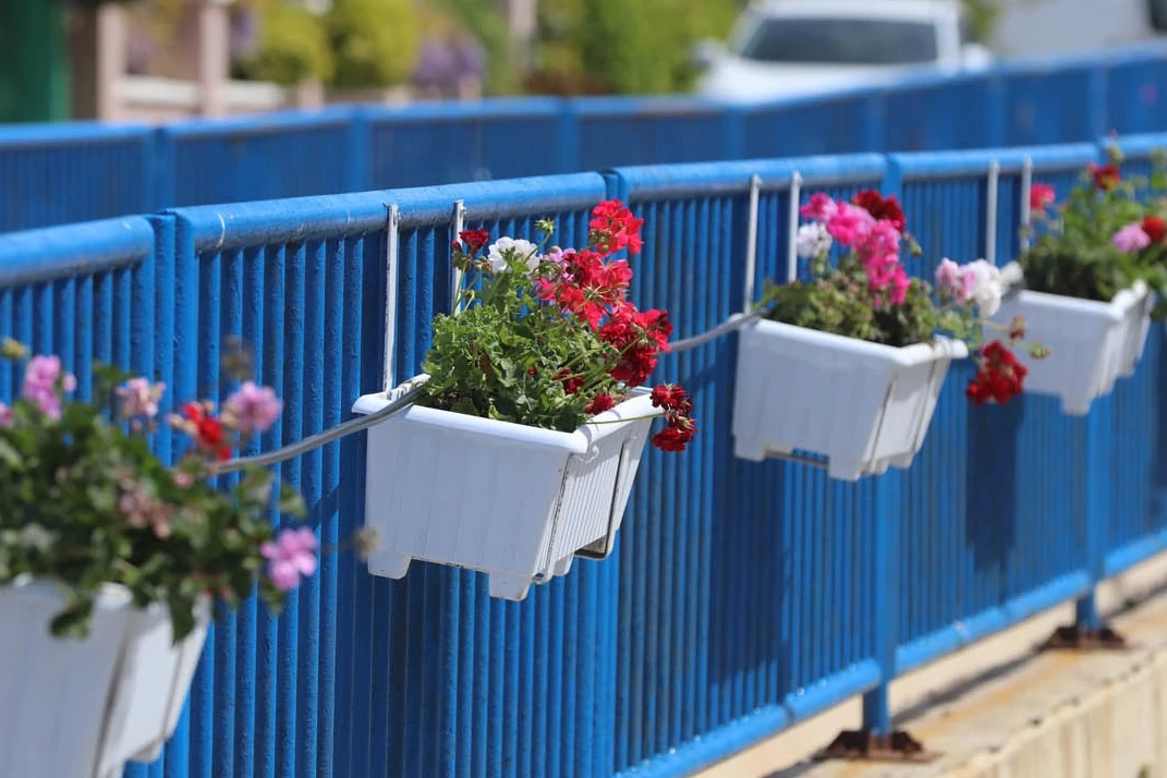 İzmir’de Güzelbahçe çiçek açtı