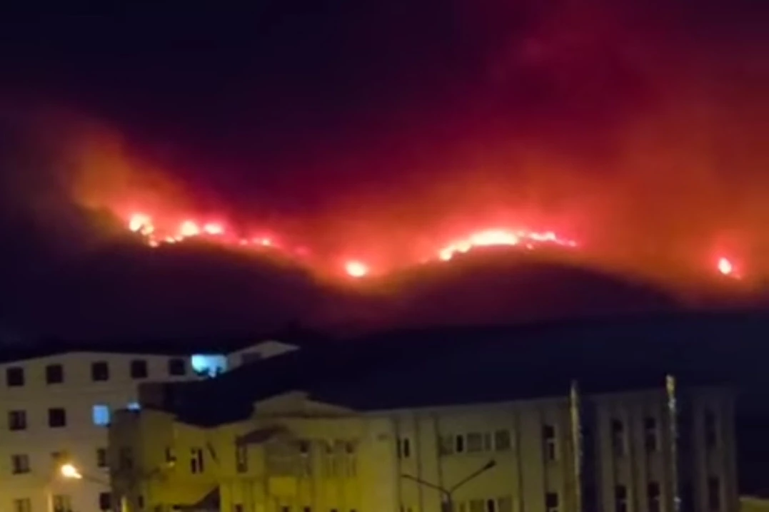 Bursa