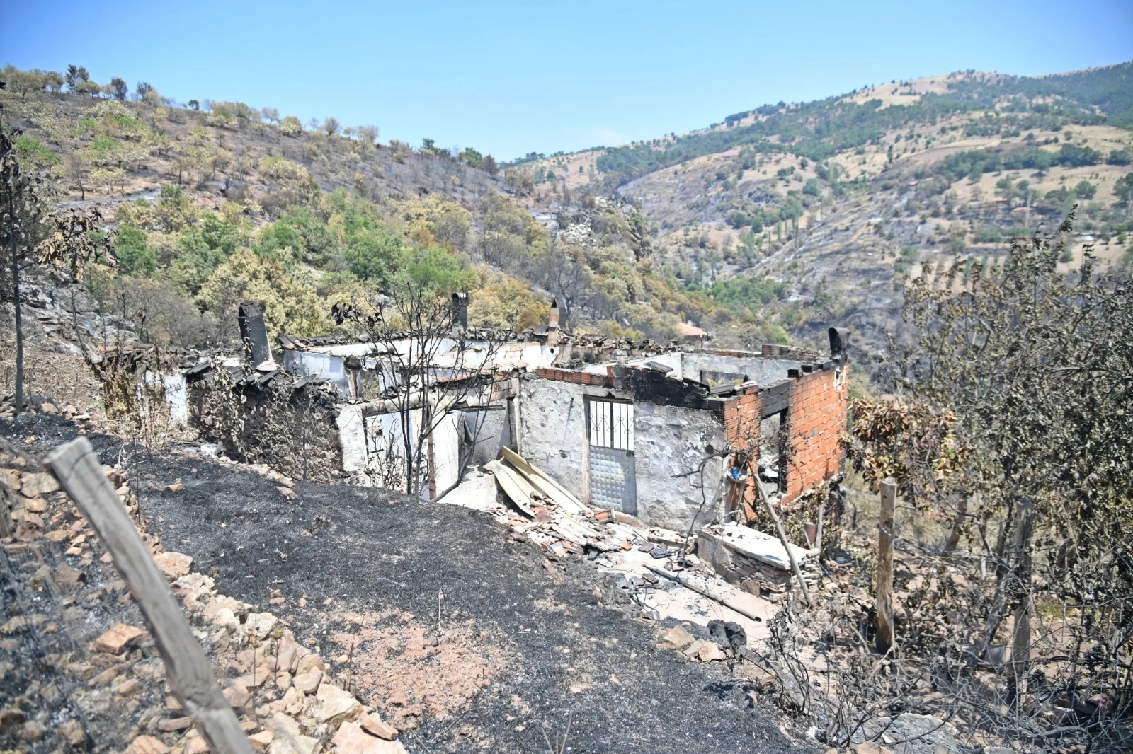 Deprem ve Doğal Afet Komisyonu