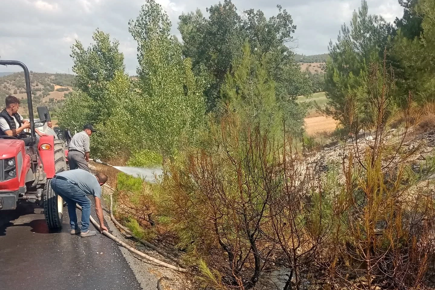 Bursa Yenişehir’de alevler ormana ulaşmadan söndürüldü