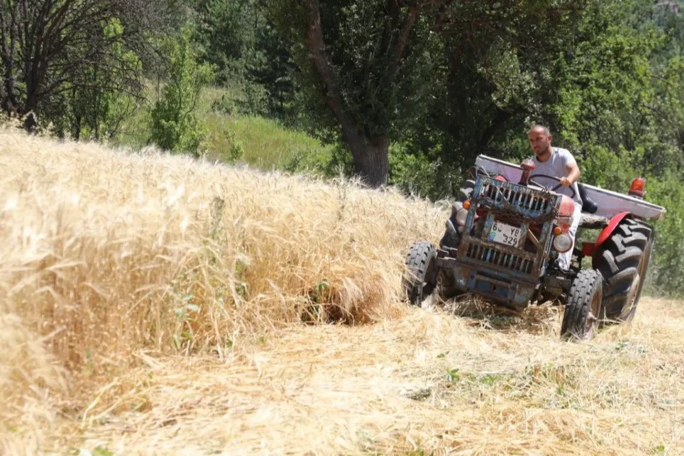 İstanbul’dan Ordu’ya uzanan çiftçilik hikayesi
